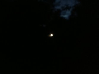 F775A910-9003-4548-BE4A-BB17BFD747F4.jpeg