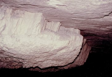 Magnet17102021_0009.jpg