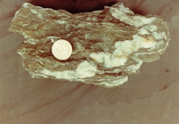 Magnet18102021_0008.jpg