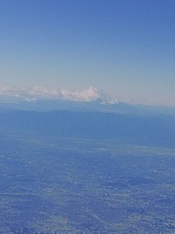 IMG_20211227_130153.jpg