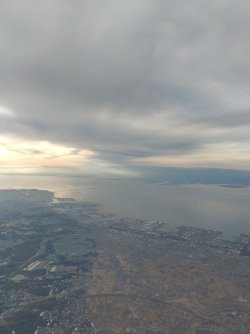 IMG_20220109_073229.jpg