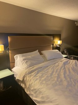 IMG_2064.jpg