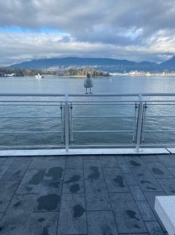 IMG_2086.jpg