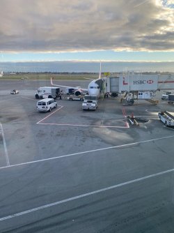IMG_2095.jpg