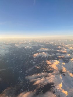 IMG_2104.jpg