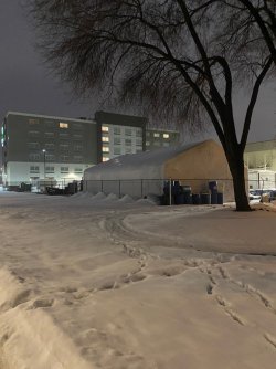 IMG_2120.jpg