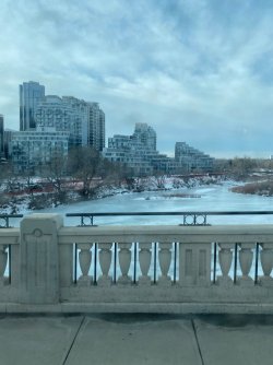 IMG_2140.jpg