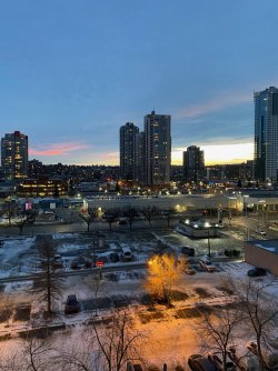 IMG_2161.jpg