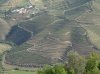 Europe 2014 DSC04891.jpg