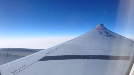 DSC_0106.JPG