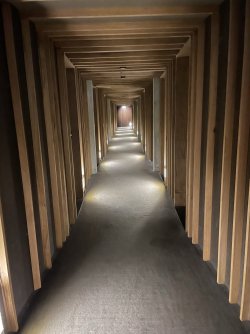 IMG_2818.JPEG