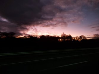 20220504_054918.jpg