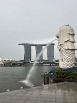 Singapore  - 1 (2).jpeg
