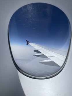 C348B73F-5BF7-44E0-95D9-0E4E6EAF7011.jpeg