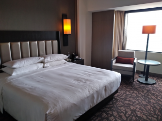 Guest Room Hilton PJ 03.06.22.png