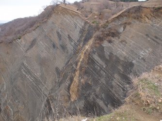Shale and Turbidite Outcropping.JPG