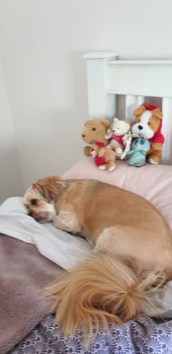 20201118_162418.jpg
