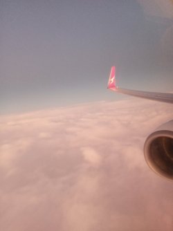 20220723_064401.jpg