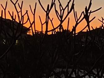 1329D667-3478-4F52-A4DA-222492285241.jpeg