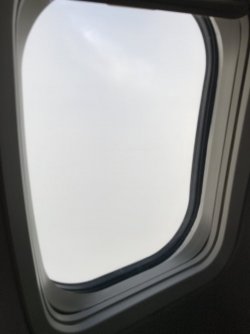 EBEF3EC2-5DDA-48A7-BB7F-607D8BAA091D.jpeg