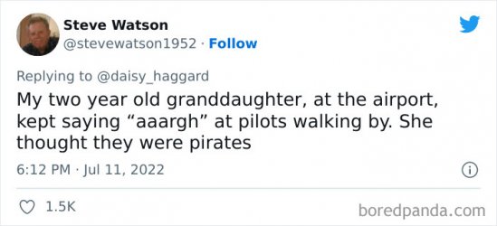 Pilot pirate.jpg