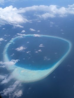 PXL_20220805_060844124.jpg
