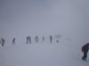 DSC00733.jpg