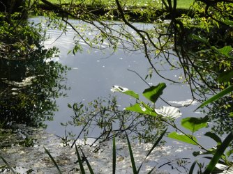 DSC03864.JPG