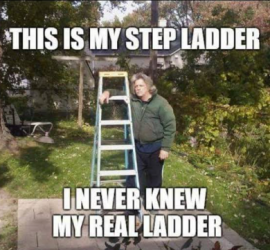 step ladder.png