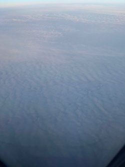 IMG_4828.jpeg