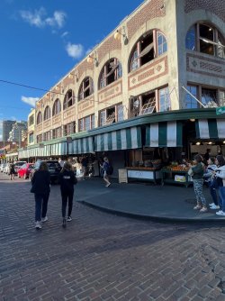 IMG_4978.jpeg