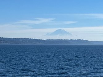 IMG_5242.jpeg