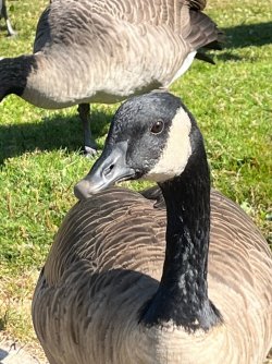 IMG_5783.jpeg