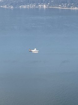 IMG_5979.jpeg