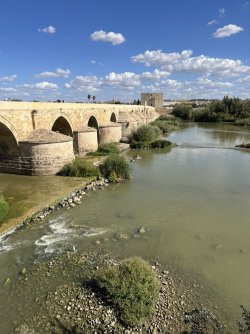 IMG_0454[1].JPG