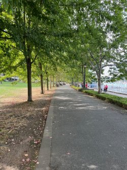 IMG_6036.jpeg