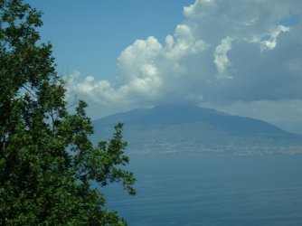 DSC01550.JPG