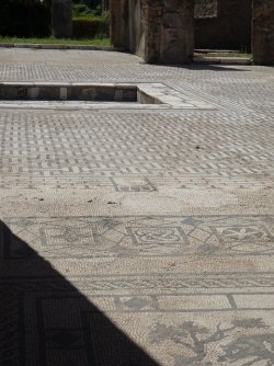 DSC01746.JPG