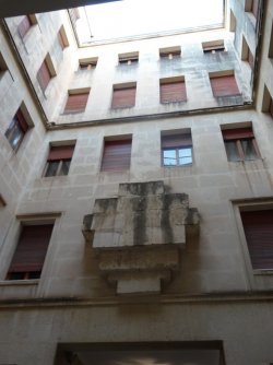 DSC02021.JPG