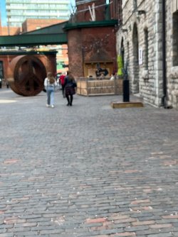 IMG_6824.jpeg