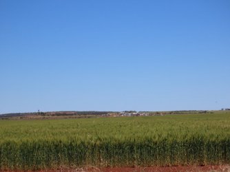 IMG_0228.JPG