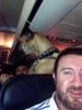 Service dog 2.jpg