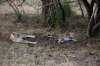 201408-Africa-519.jpg