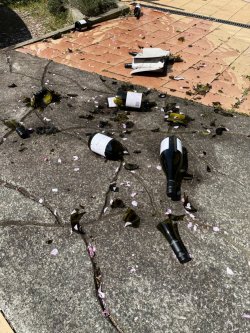 Broken bottles.jpg