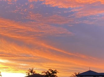 5A0F8C67-56D2-4FEC-A0BE-794E661A94B1.jpeg