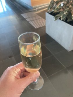 IMG_7332.jpeg