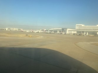 IMG_3823.jpeg