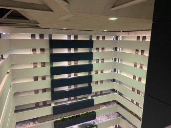 IMG_3842.jpeg