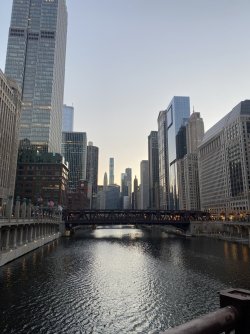 IMG_3845.jpeg