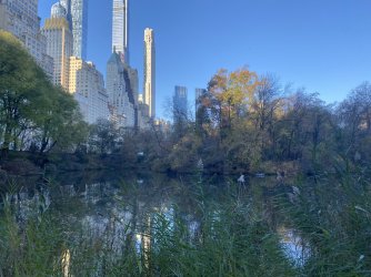 IMG_3960.jpeg